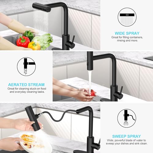 Matte Black Single Hole Kitchen Faucet with Pull Down Sprayer & High Flow, Stainless Steel